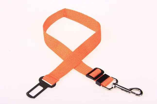 Fixed Strap Polyester Dog Strap Dog Leash Dog Leash