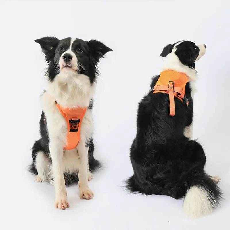 2-in-1 Dog Harness Built-In
