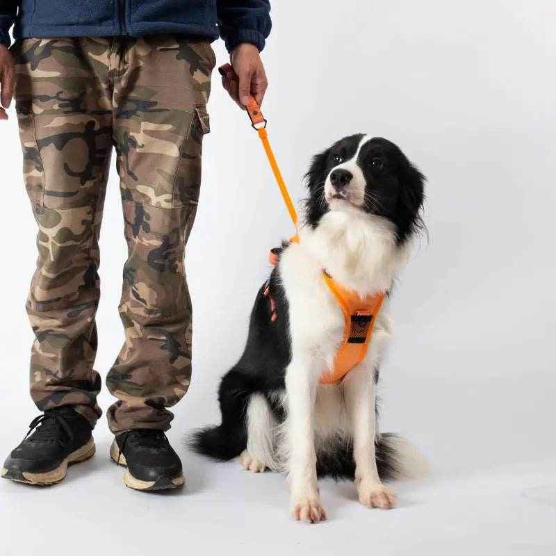 2-in-1 Dog Harness Built-In