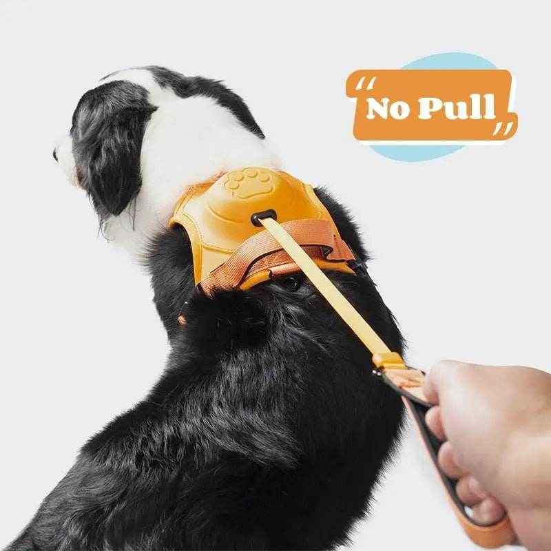 2-in-1 Dog Harness Built-In