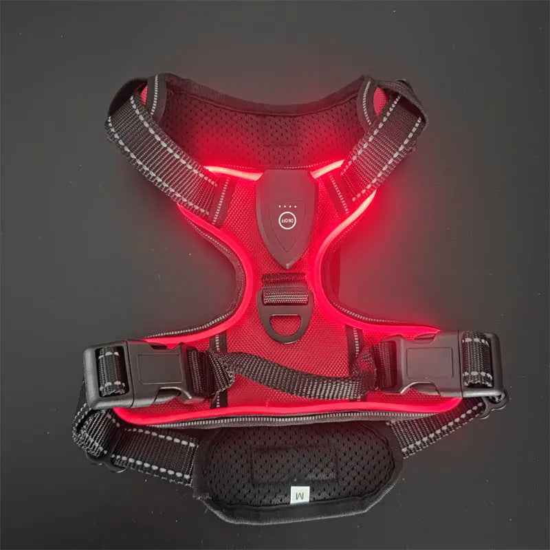 Pet safety vest