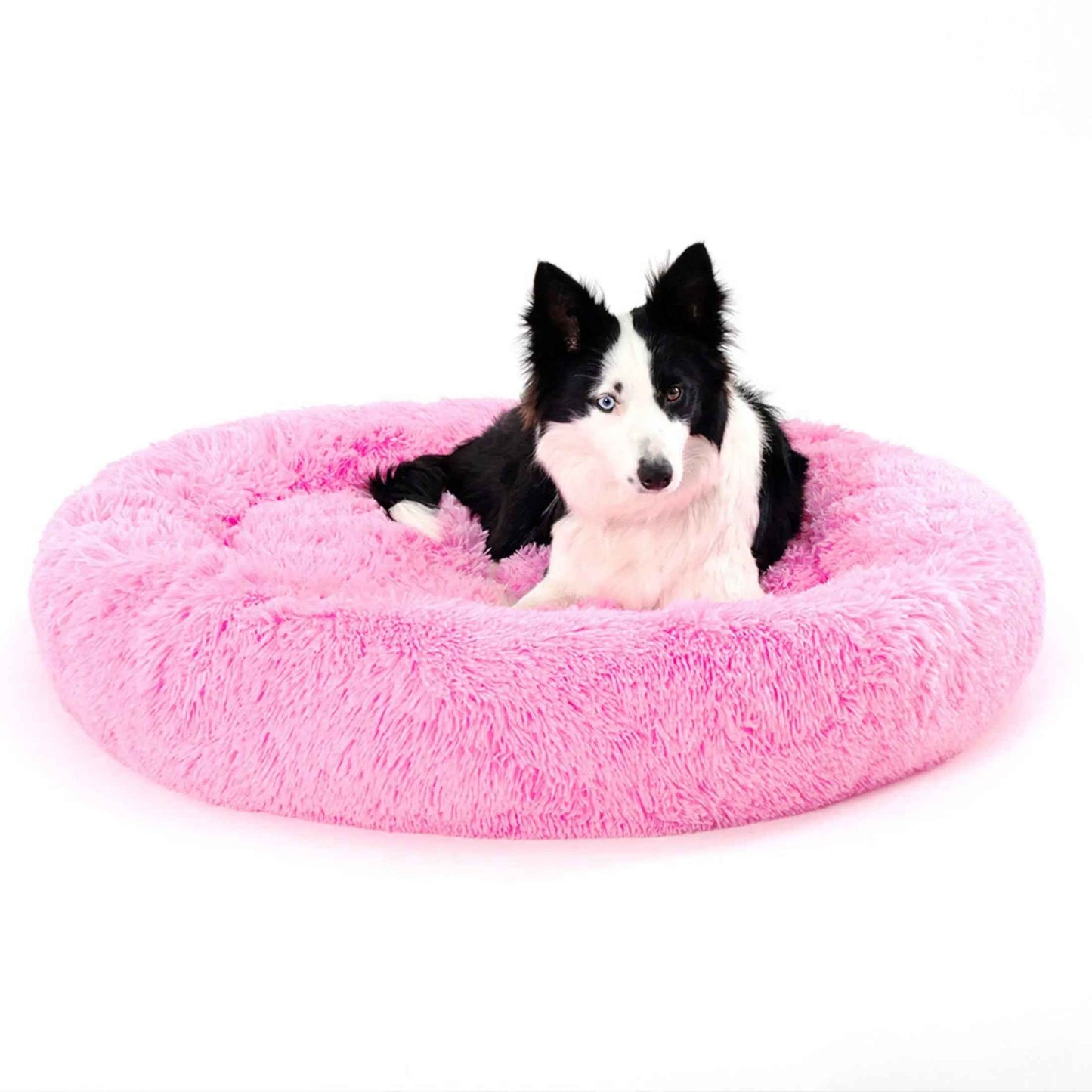 Fluffy Donut Dog Bed