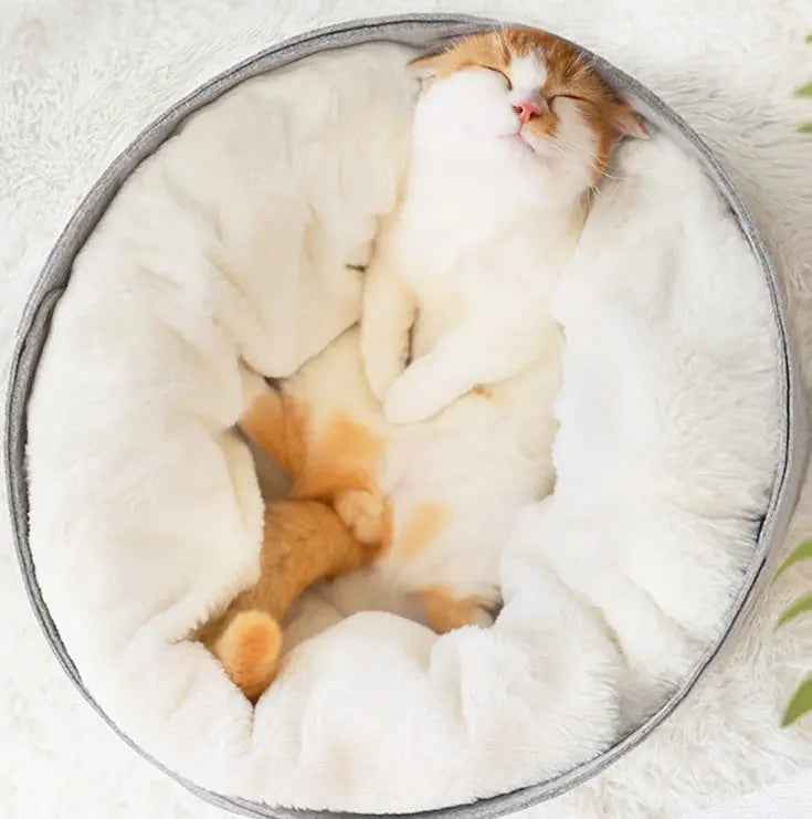 Winter Warm Cat Bed