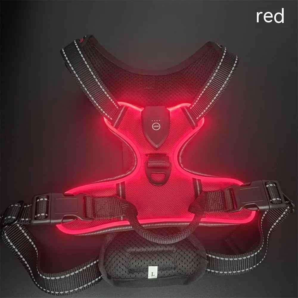Pet safety vest
