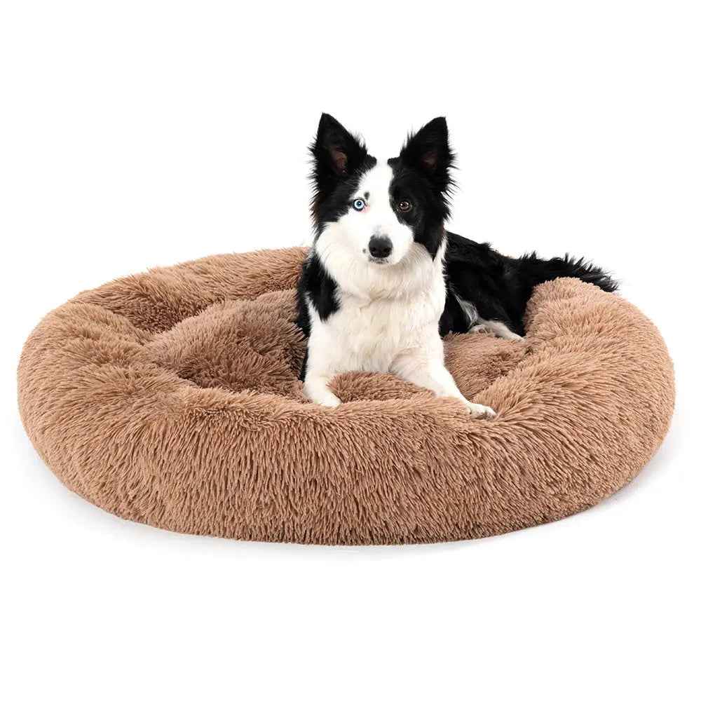 Fluffy Donut Dog Bed