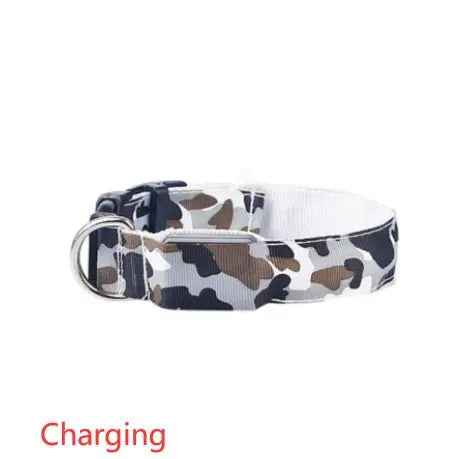 Glow in the dark dog collar-LED Dog Collar