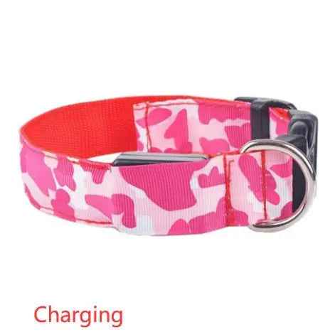 Glow in the dark dog collar-LED Dog Collar
