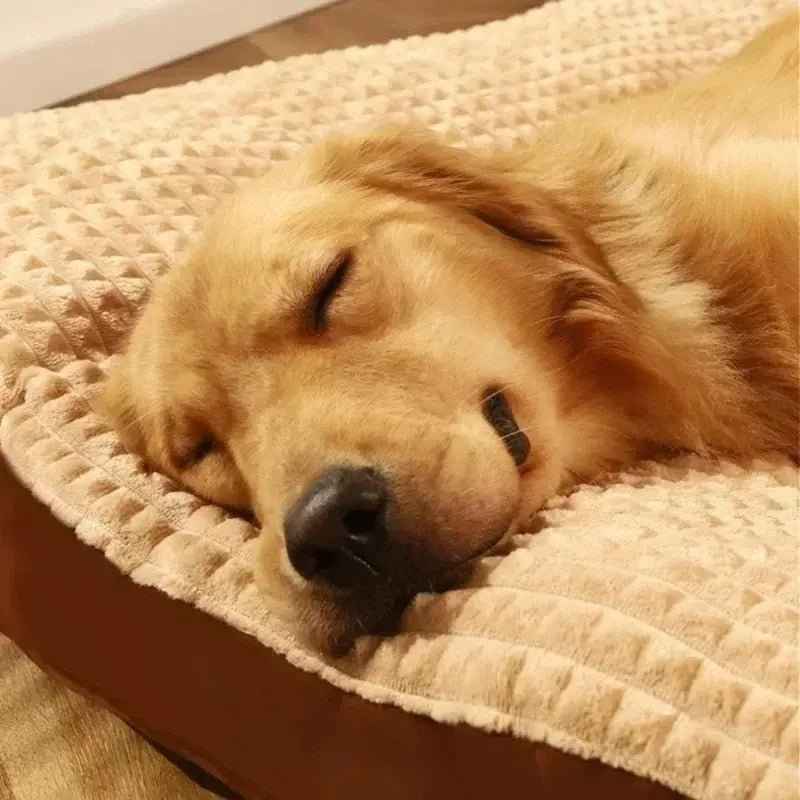 Dogs Sleeping Bed Soft
