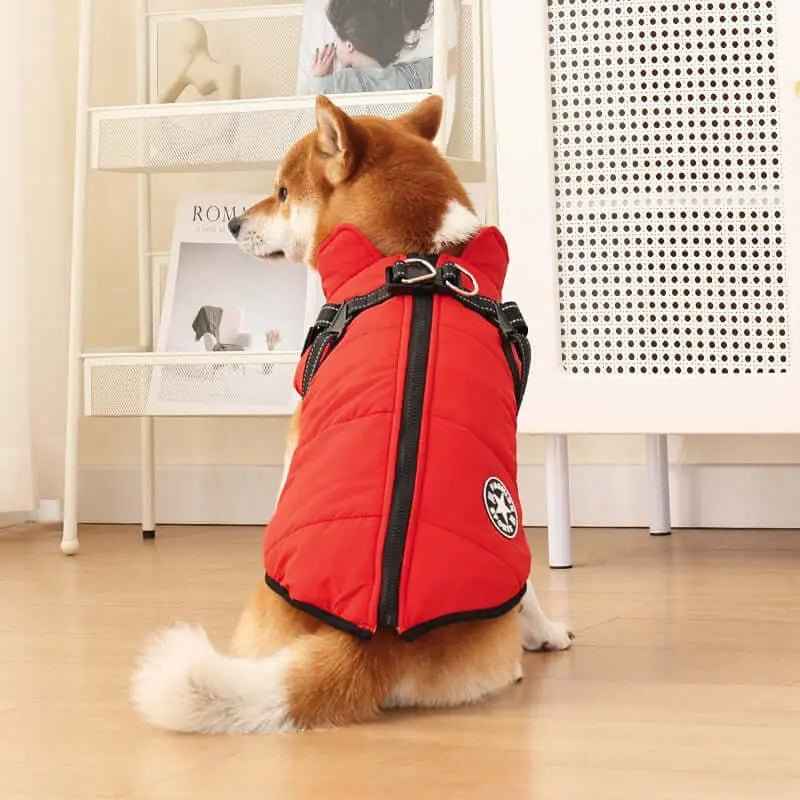 Giacca per cani invernale impermeabile con imbracatura incorporata
