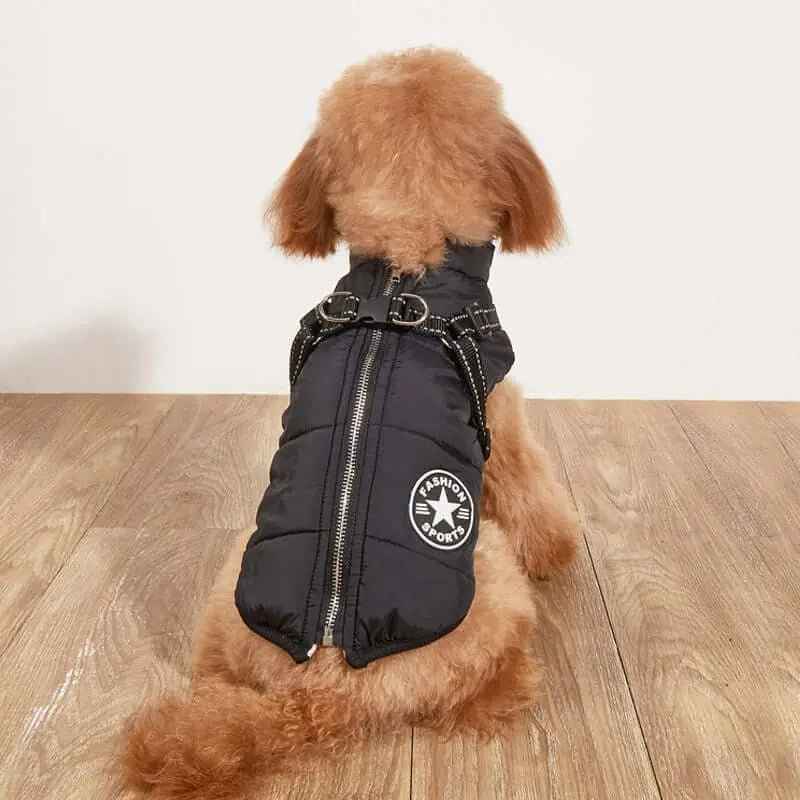 Giacca per cani invernale impermeabile con imbracatura incorporata