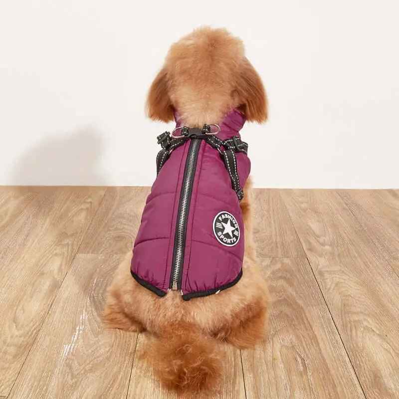 Giacca per cani invernale impermeabile con imbracatura incorporata