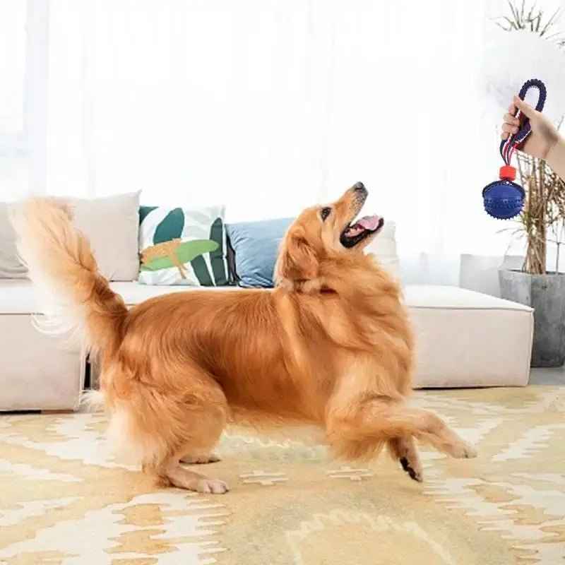 Interactive Dog Toy Ball Interactive Teether With Rope