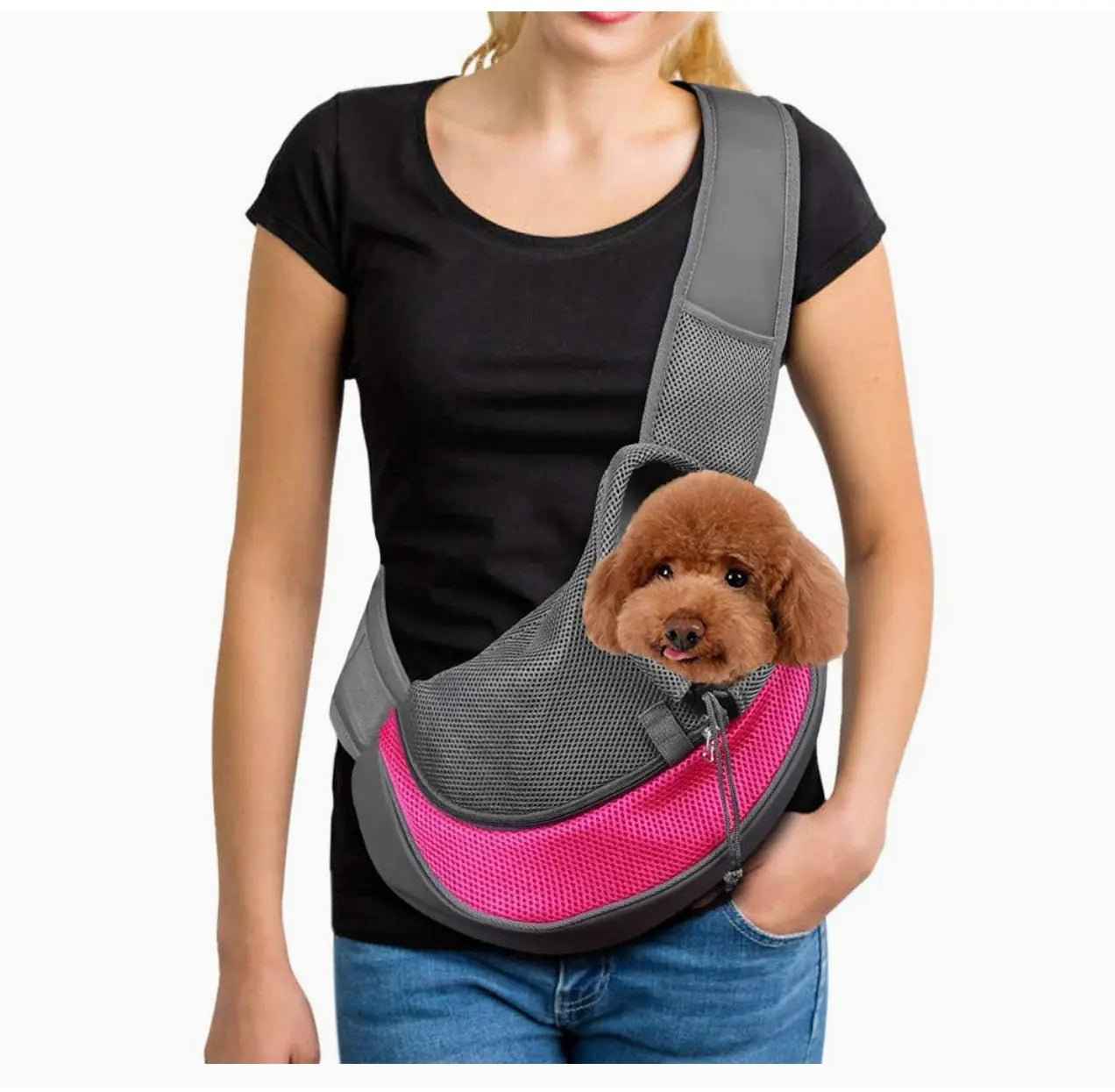 Pet carrier
