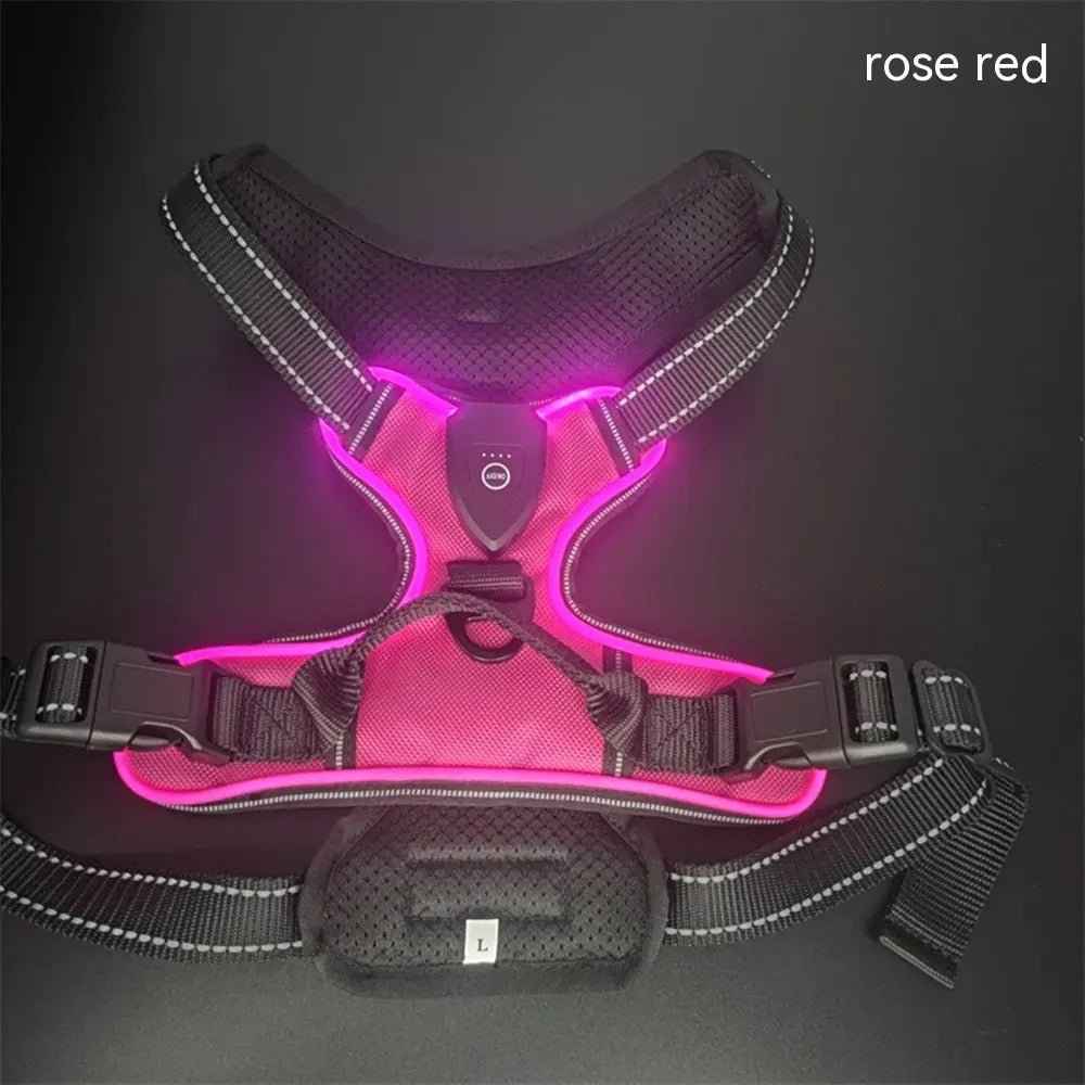 Pet safety vest