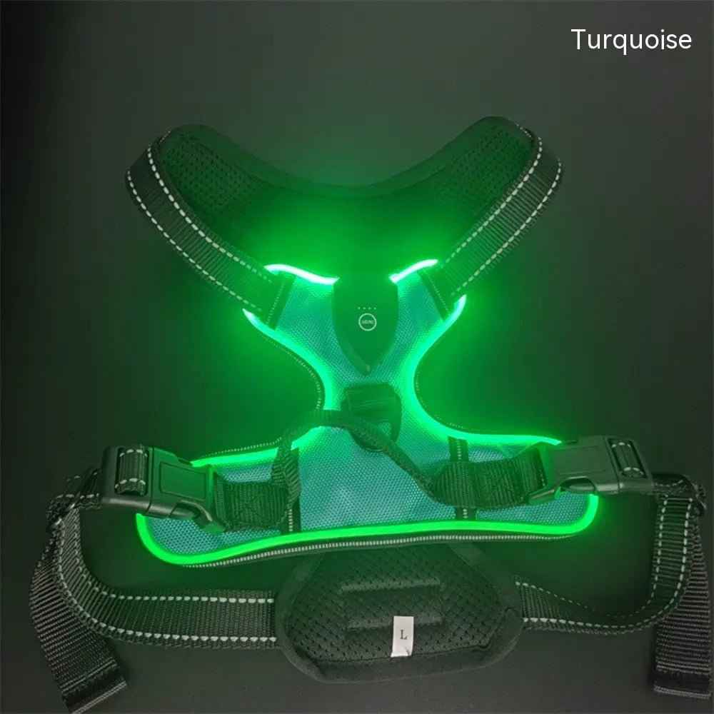 Pet safety vest