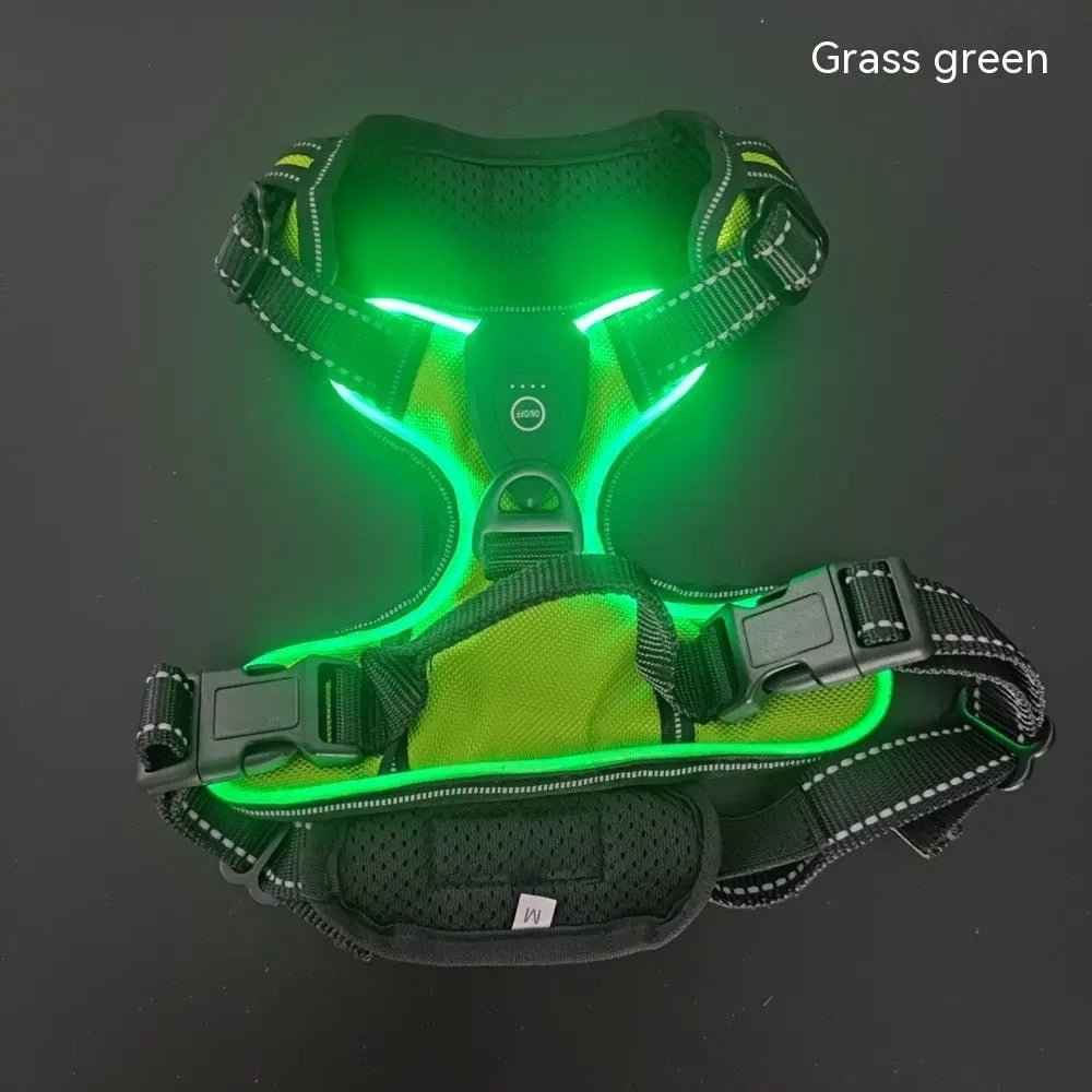 Pet safety vest