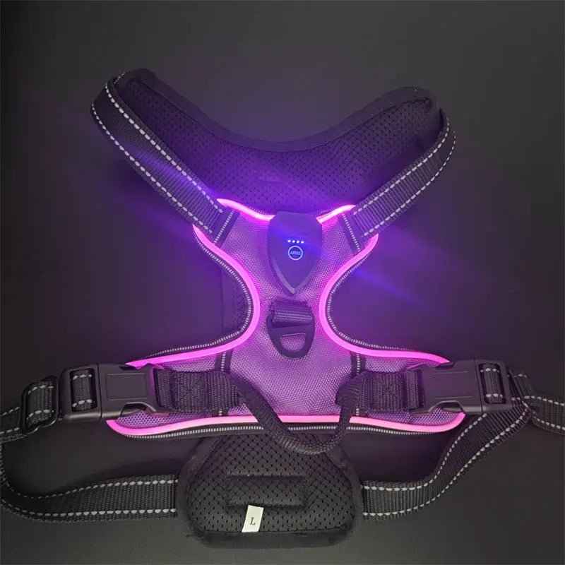 Pet safety vest