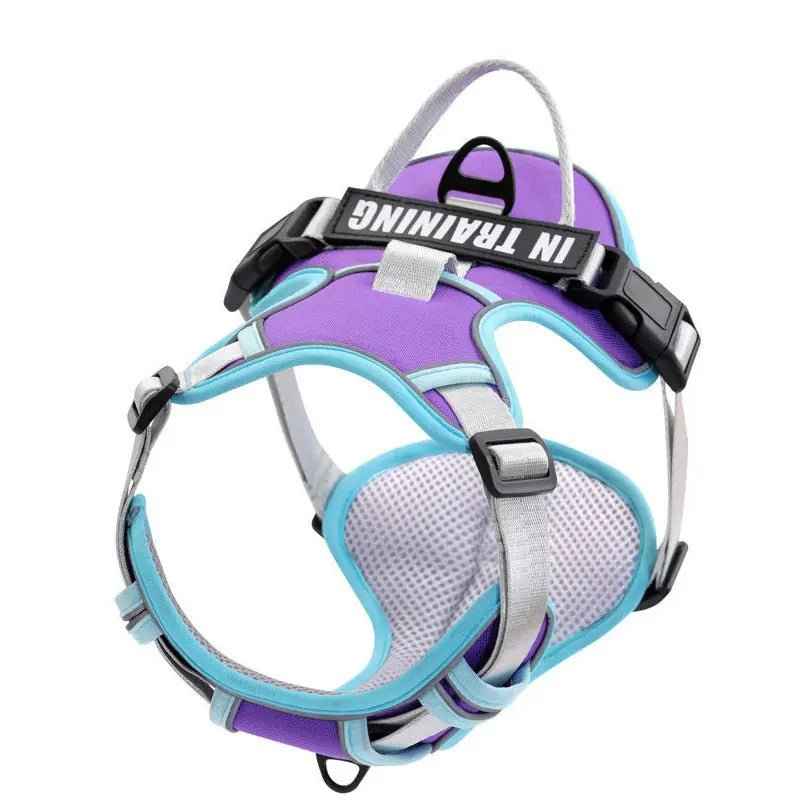 Reflective harness -Reflective Safety Harness