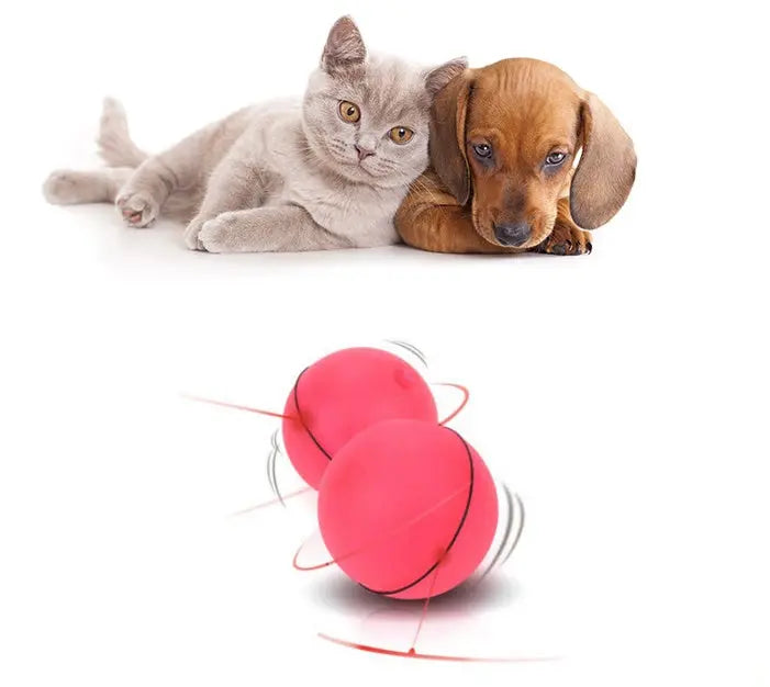 interactive cat toy With LED Laser Electronic - YOUYA PET