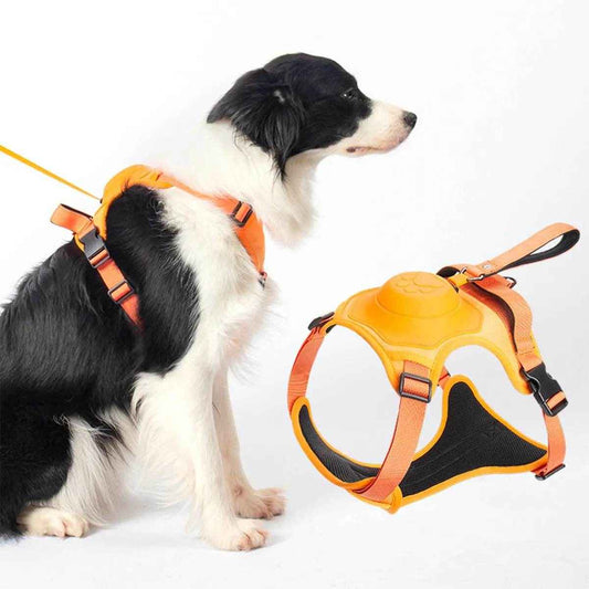 2-in-1 Dog Harness Built-In