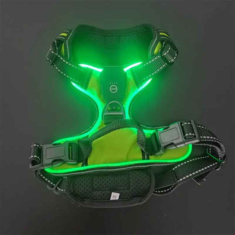 Pet safety vest