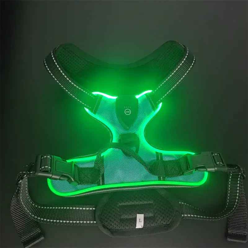 Pet safety vest