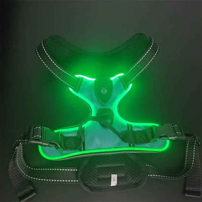 Pet safety vest
