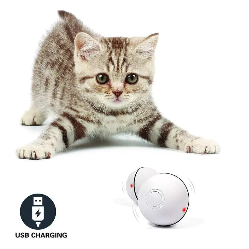interactive cat toy With LED Laser Electronic - YOUYA PET