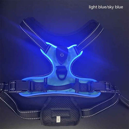 Pet safety vest