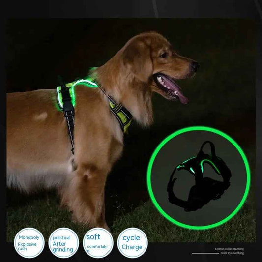 Pet safety vest