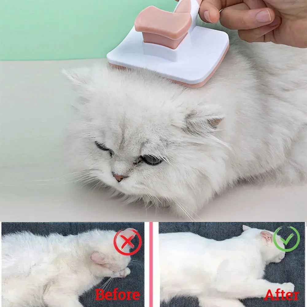 self cleaning brushs One Click Cleaning Function