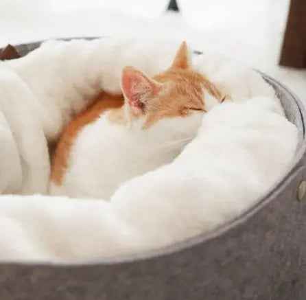 Winter Warm Cat Bed
