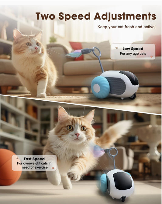 iMouse Smart Interactive Cat Toy