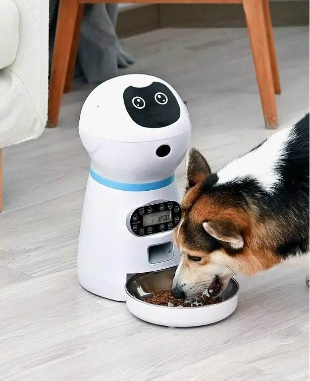 Automatic Pet Feeder - YOUYA PET