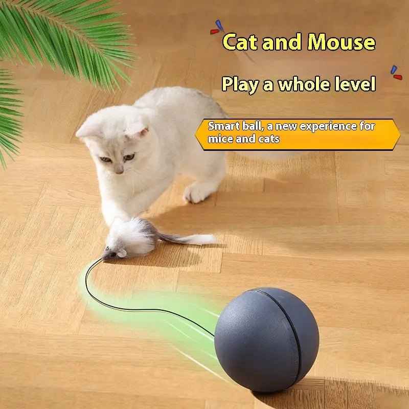 Rolling Ball Interactive Cat And Dog Toy