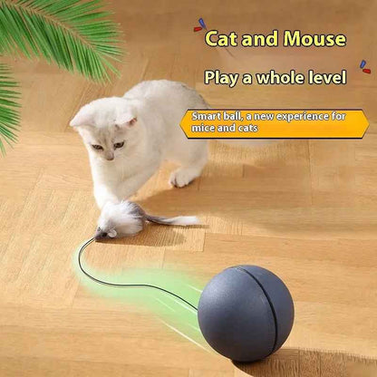 Rolling Ball Interactive Cat And Dog Toy