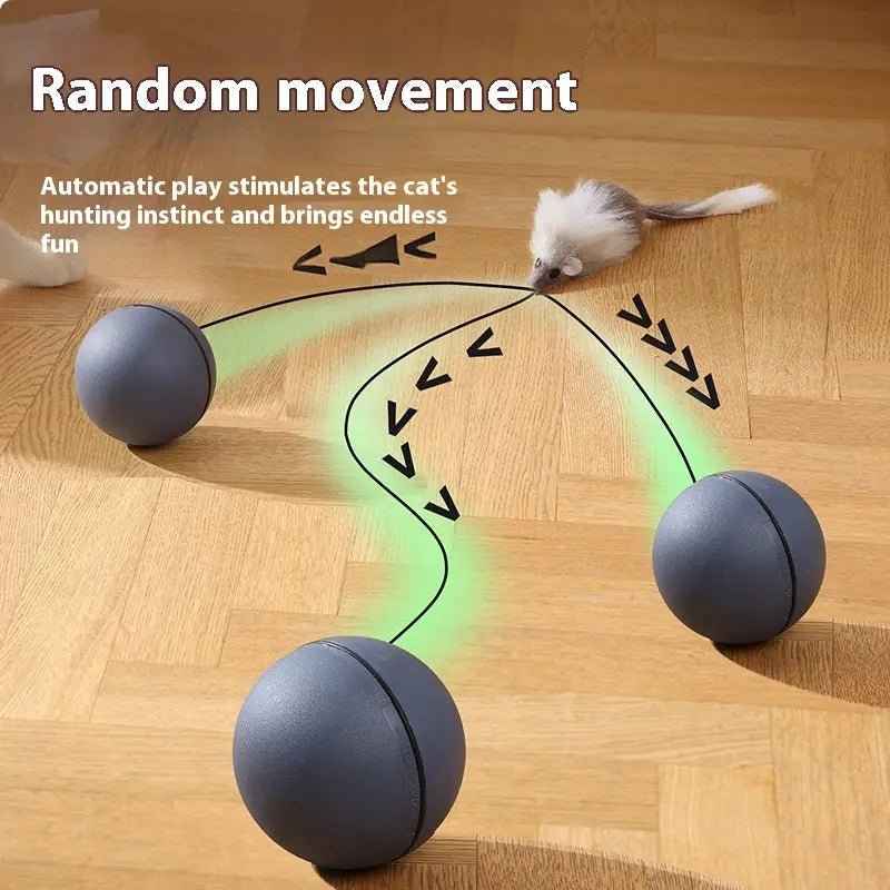 Rolling Ball Interactive Cat And Dog Toy