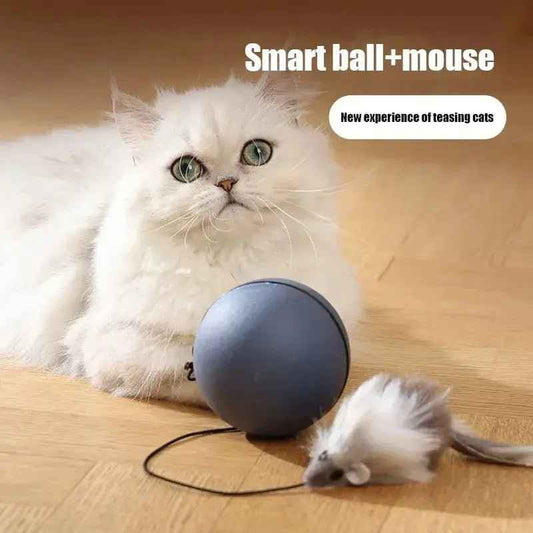 Rolling Ball Interactive Cat And Dog Toy