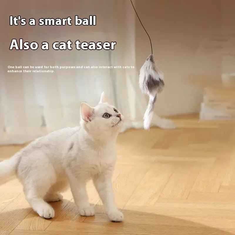 Rolling Ball Interactive Cat And Dog Toy