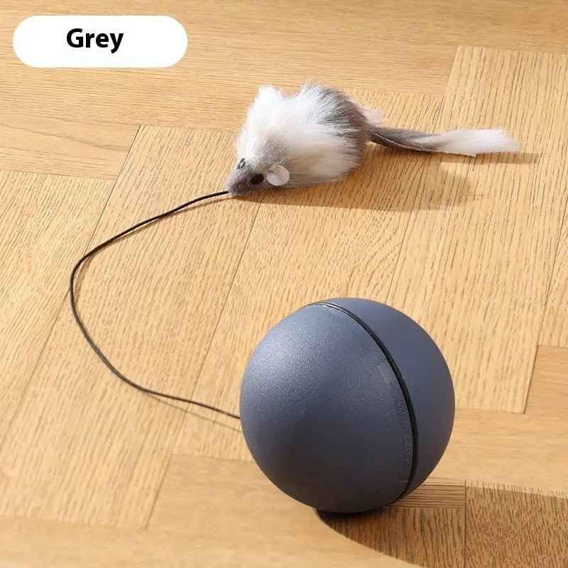 Rolling Ball Interactive Cat And Dog Toy