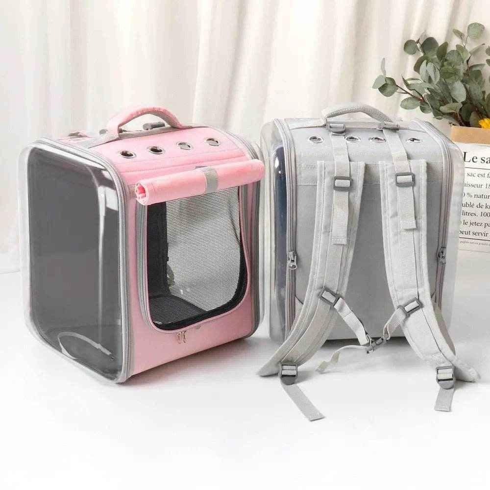 Best Cat Backpack for Travel