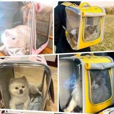 Best Cat Backpack for Travel
