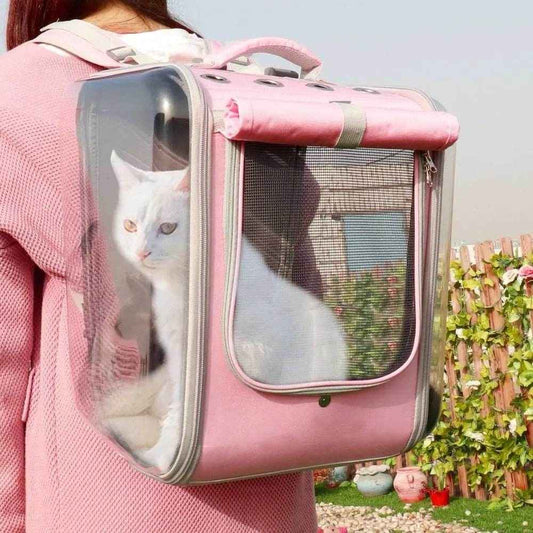 Best Cat Backpack for Travel