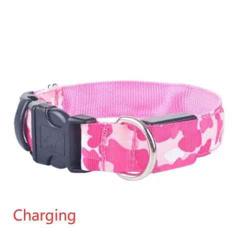 Glow in the dark dog collar-LED Dog Collar