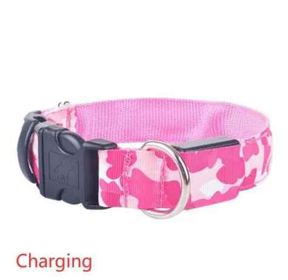 Glow in the dark dog collar-LED Dog Collar