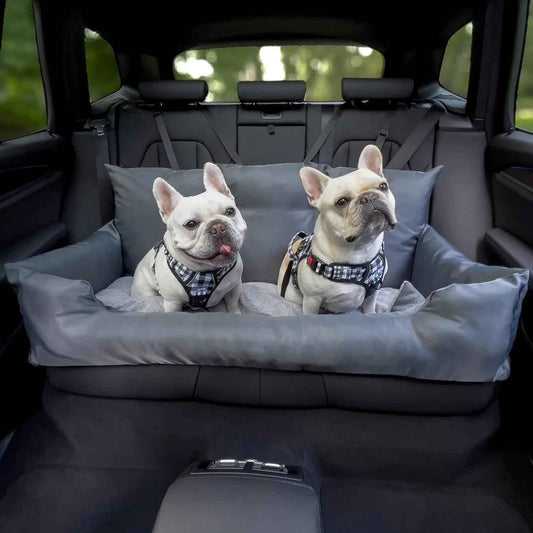Doghouse Safe Travel Set