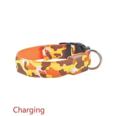 Glow in the dark dog collar-LED Dog Collar