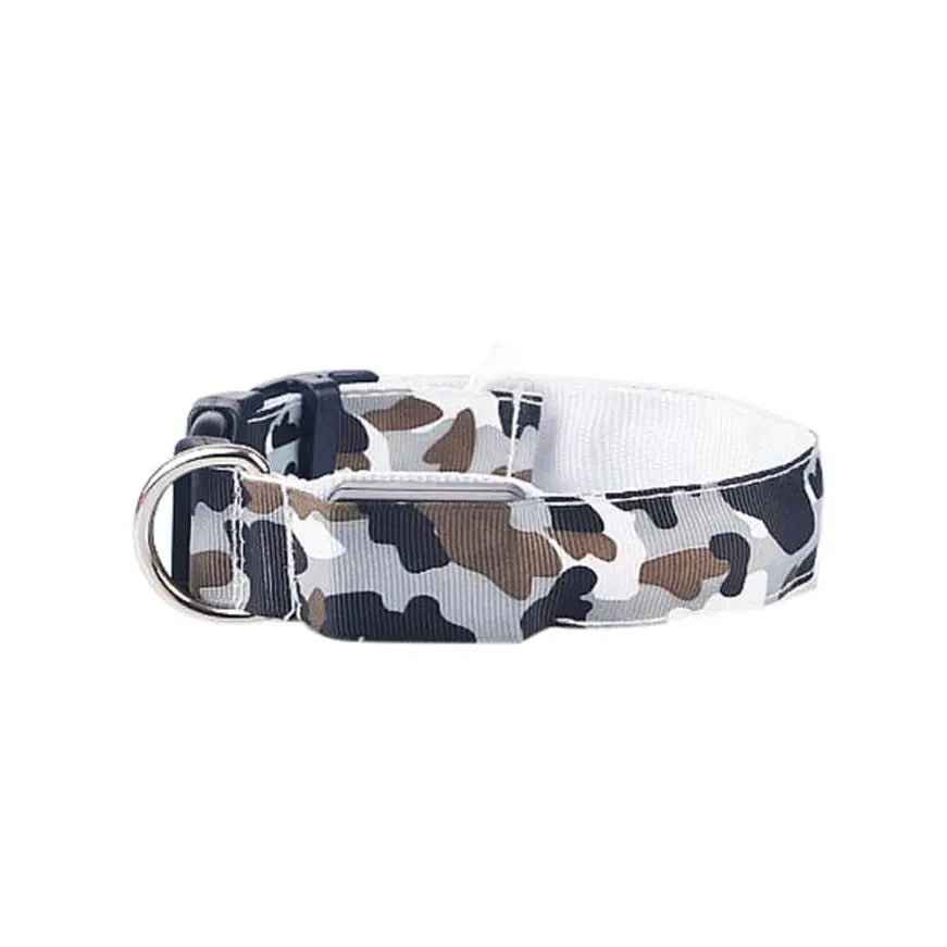 Glow in the dark dog collar-LED Dog Collar