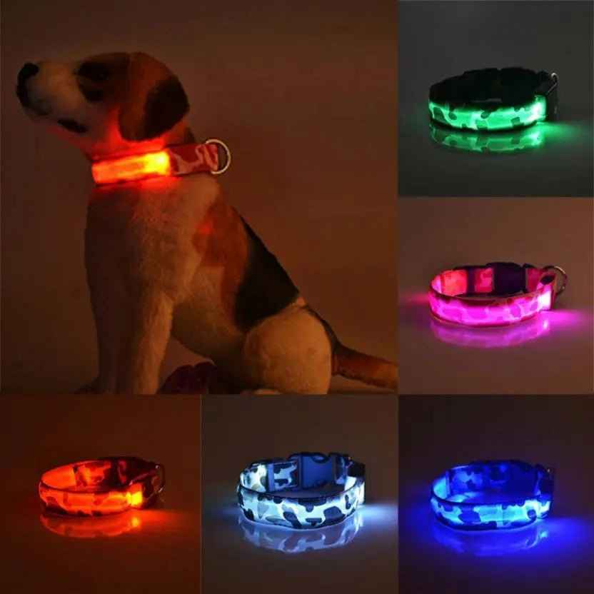 Glow in the dark dog collar-LED Dog Collar