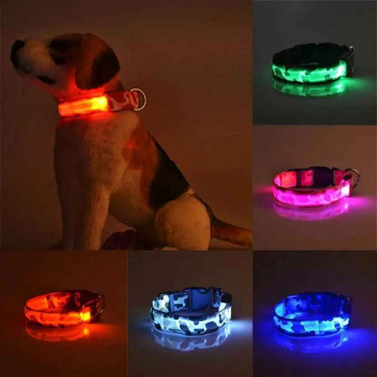 Glow in the dark dog collar-LED Dog Collar